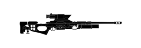CSRX 300